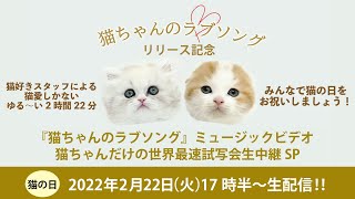 猫の日特番！『猫ちゃんのラブソング』リリース記念～ミュージックビデオ猫ちゃんの世界最速試写会 生中継スペシャル～