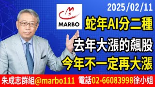 2025/02/11 蛇年AI分二種 去年大漲的飆股 今年不一定再大漲 朱成志社長