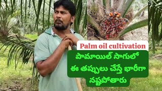 palm oil cultivation in Telugu పామాయిల్ సాగులో ఈ తప్పులు చేస్తే భారీగా నష్టపోతారు