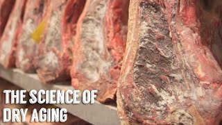 "Science of Dry Aging" by George Motz