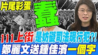 《片尾彩蛋》111上街抗議 是妨礙司法現行犯?! 鄭麗文送鍾佳濱一個字\