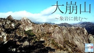 【大崩山②】象岩～山頂分岐手前まで登ってみた【坊主尾根コース】