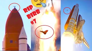 rip birb 7 | ultimate 1~6 compilation | birds hitting space shuttles \u0026 rockets