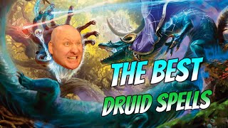 Best Druid Spells (for every level) Dnd 5.5e 2024
