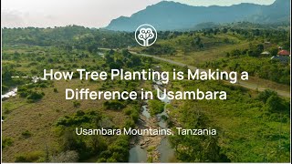 How Tree Planting is Making a Difference in the Usambara Mountains