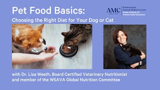 Pet Food Basics: Choosing the Right Diet for Your Dog or Cat with Dr. Lisa Weeth