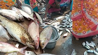 மீன் ஏலம் விலை குறைவு#fishing