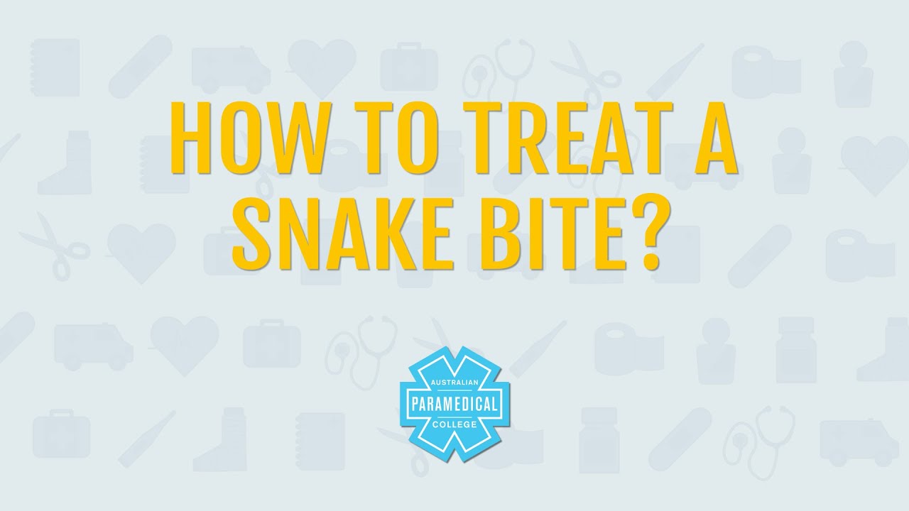 Snake Bite First Aid Quick Tips Pressure Immobilisation Technique Snake Bite First Aid Quick Tips Pressure Immobilisation Technique