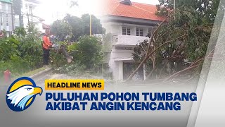 [HEADLINE NEWS, 09/02] Puluhan Pohon Tumbang Akibat Angin Kencang