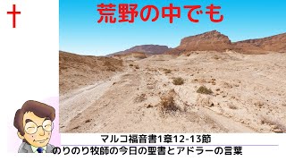 のりのり牧師の今日の聖書とアドラーの言葉0005　荒野の中にもイエス様が共におられる　■マルコ1章12 13節