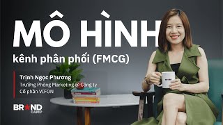 Mô hình kênh phân phối kênh FMCG | Sales and Distribution Management for General Trade