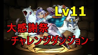 『大感謝祭チャレンジ！【リーダー助っ人固定】Lv11』