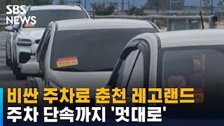 춘천 레고랜드, 비싼 주차료에 주차 단속까지 '멋대로' / SBS