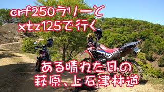 ある晴れた日の萩原、上石津林道#crf250ラリー #xtz125 #林道ツーリング #オフロードバイク#萩原林道#上石津林道