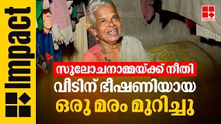 Impact | 'ഇനിയും മുറിക്കാനുണ്ട് സാറെ'; സുലോചനാമ്മയുടെ വീടിന് ഭീഷണിയായി നിന്ന ഒരു മരം മുറിച്ചു