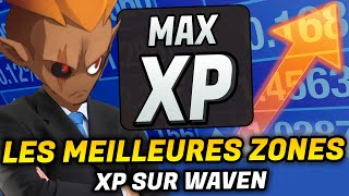 LES MEILLEURES ZONES OÙ XP SUR WAVEN