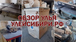 Обзор улья от улейсибири.рф, Пасека Старчевских, Сибирь