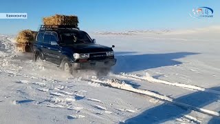 Баянхонгор аймгийн Гурванбулаг суманд цасны зузаан 22 см байна