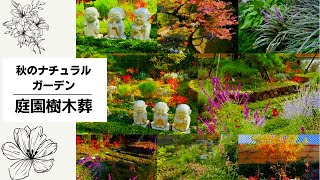 【樹木葬】秋色のナチュラリスティックガーデン│奈良県速成寺の永代供養墓