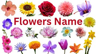 Flowers Name | Names of the Flowers | Flowers Names in English #flowers #flower #educare