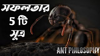 Wisdom Of  The Ants - Best Motivational video I The Ant Philosophy l EDU2.0