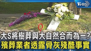 大S將樹葬與大自然合而為一? 殯葬業者透露骨灰殘酷事實｜TVBS新聞 @TVBSNEWS02