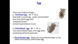 Introduction to nematodes, Ascaris, Enterobius (Year-1 Sem-2)