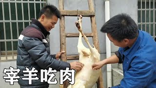 天冷了适合吃羊肉，今天宰一头叫上哥们一起聚聚，这也太豪横了吧【螃爷Pang】