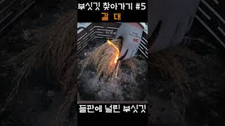 #갈대 #부싯깃 #불멍 #캠핑 #부시크래프트 #불피우기 #파이어스틸 #bushcraft #camping #팝콘과함께 #동계캠핑  #솔로캠핑