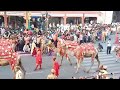 गणगौर सवारी जयपुर से live