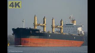 ALWINE - Shipspotting Germany 🇩🇪 IMO 9692698 - River Weser near City Brake Unterweser - 4K VIDEO