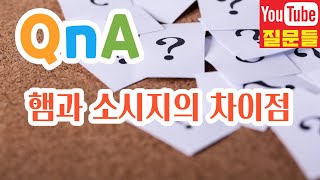 햄과 소시지의 차이점