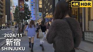 休日の東京: 新宿 - 2024/11