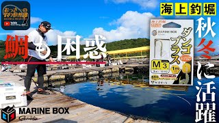 【海上釣堀】団子と虫餌❗️両方つけたらこうなった！これからの食い渋る時期に活躍期待