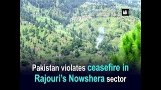 Pakistan violates ceasefire in Rajouri’s Nowshera sector