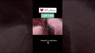 شاهد قطرة العين سبحان الله