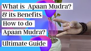 What is Apaan Mudra and its Benefits| How to do Apaan Mudra| Ultimate Guide