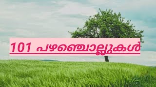 പഴഞ്ചൊല്ലുകൾ |Malayalam proverbs | രസകരമായ പഴഞ്ചൊല്ലുകൾ