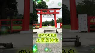 あなたを幸せに導く　京都のパワースポット Tik Tok 上賀茂神社shrot