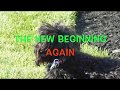 THE NEW BEGINNING AGAIN 10 THESINATRASINGER on YouTube