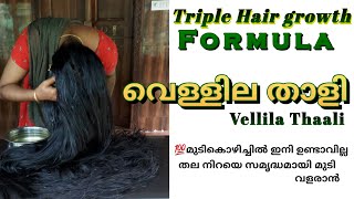 സമൃദ്ധമായി മുടി വളരാൻ വെള്ളിലത്താളി  day/67 Vellila thali