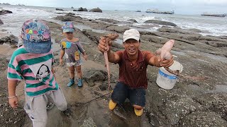 迎着几米高巨浪赶海，爷孙三发现搁浅的鲨鱼，还不止一条太给力了