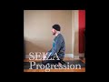 Seiza Progression