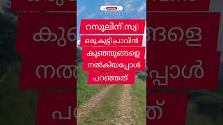 സമദാനി/ഒരു കുട്ടി റസൂലിന്(സ്വ) പ്രാവിൻകുഞ്ഞുങ്ങളെ നൽകിയപ്പോൾ പറഞ്ഞത്