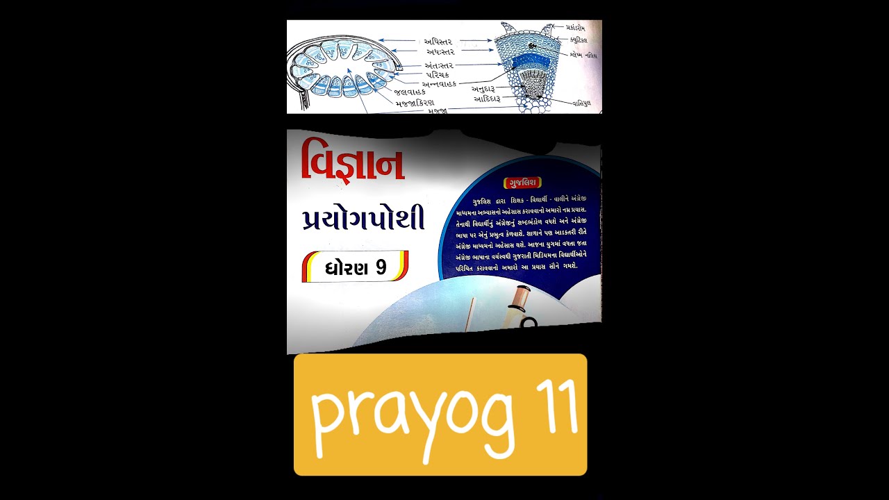 Std 9 Science Prayog Pothi Prayog 11 Limited Education Of Gujarati
