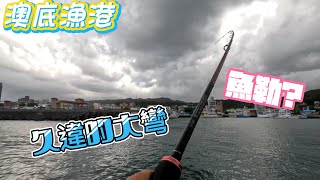 三大漁港 釣魚 全紀錄 一路向東 澳底漁港 可惜瓜瓜放生沒有拍到 舒服釣點 天亞 正餌 岸拋 沉底 鐵板 路亞 軟蟲 喜歡我的影片 感謝 訂閱 分享 按讚 開啟小鈴鐺 @游刃有魚 #游刃有魚