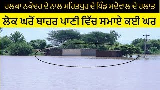 🔴Braking Flood alert !! Jalandhar ਹਲਕਾ Nakodar ਦੇ ਨਾਲ Mehatpur ਦੇ ਪਿੰਡ ਮਦੋਵਾਲ ਦੇ ਹਲਾਤ