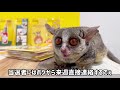 【プレゼント企画】ピザトルのiphoneケースが当たる！応募締め切りました