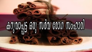 കറുവാപ്പട്ട ഒരു സര്‍വ രോഗ സംഹാരി/Malayalam Health Tips