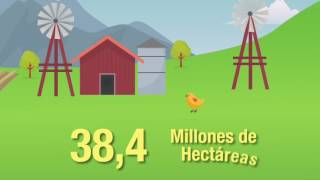 Agricultura al Día - Zonificación Avícola, Upra